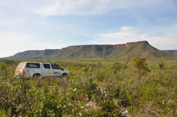 Fiona no cerrado do P.N. Nascentes do Parnaíba, no extremo sul do Maranhão